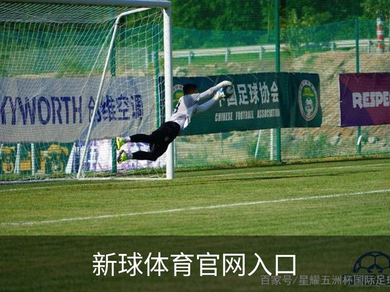 关于新球体育官网入口
